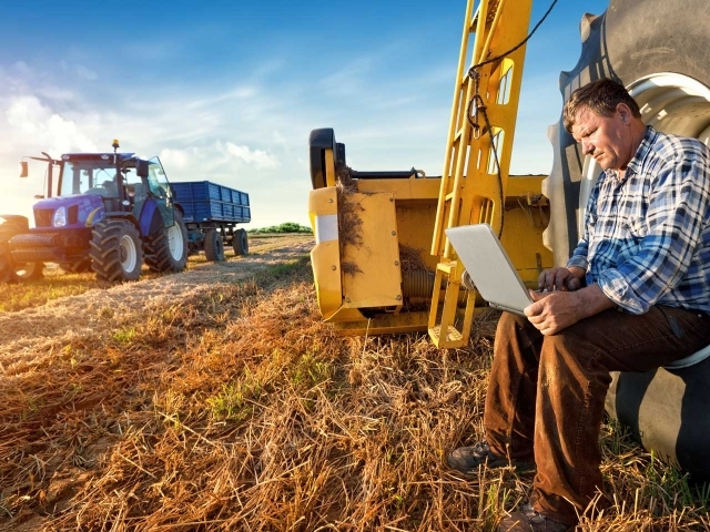 A person at his business looking a his laptop